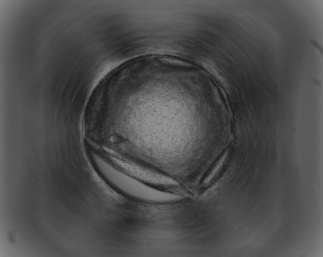 X0000093141032200710171324