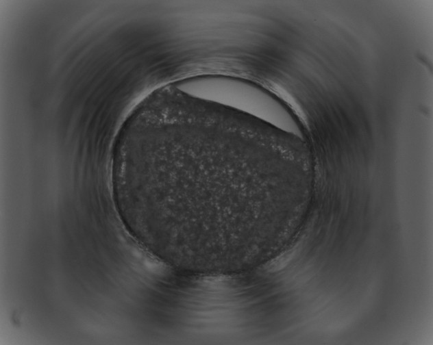 X0000093141035200710171325