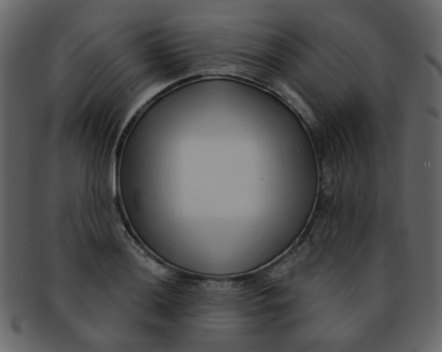 X0000093141036200710171325