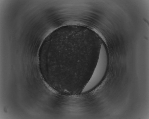 X0000093141037200710171325