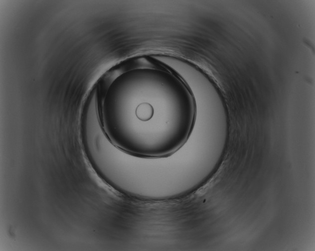 X0000093141038200710171325