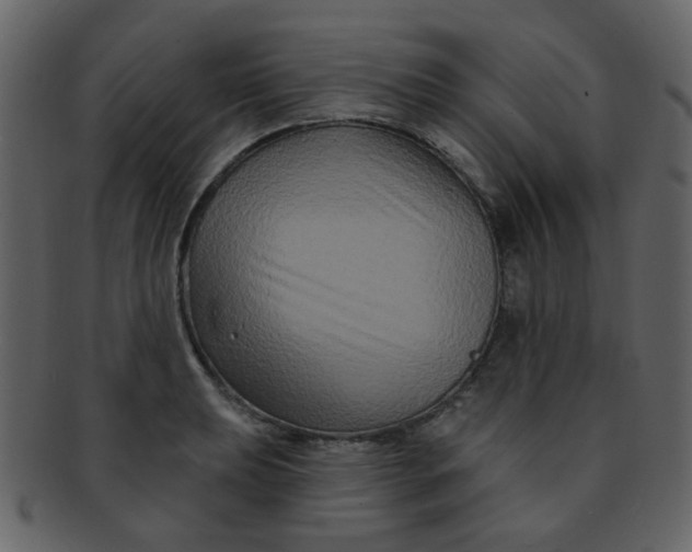 X0000093141039200710171325