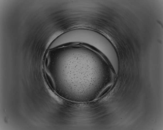 X0000093141042200710171325