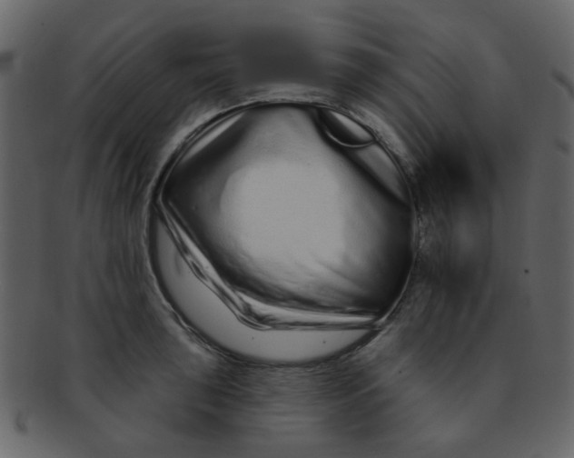 X0000093141043200710171325