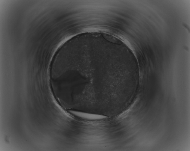 X0000093141045200710171325