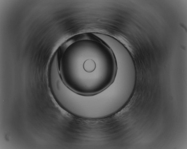 X0000093141046200710171325