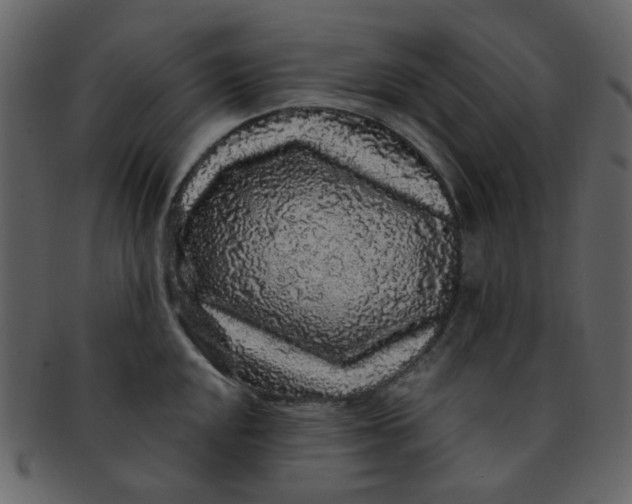 X0000093141048200710171325