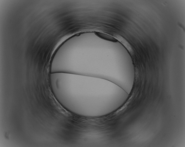 X0000093141052200710171325