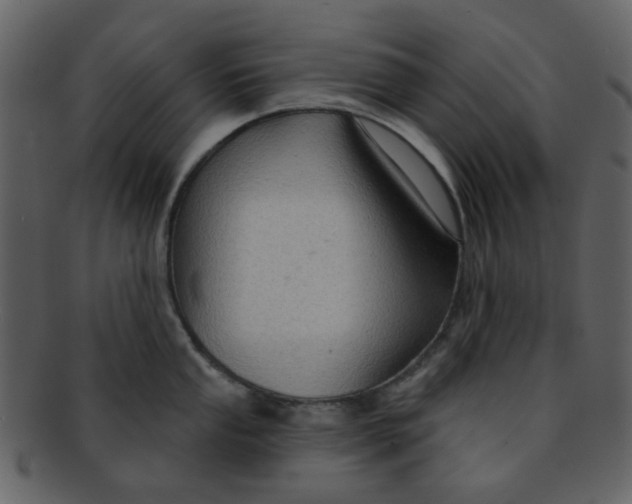 X0000093141053200710171325