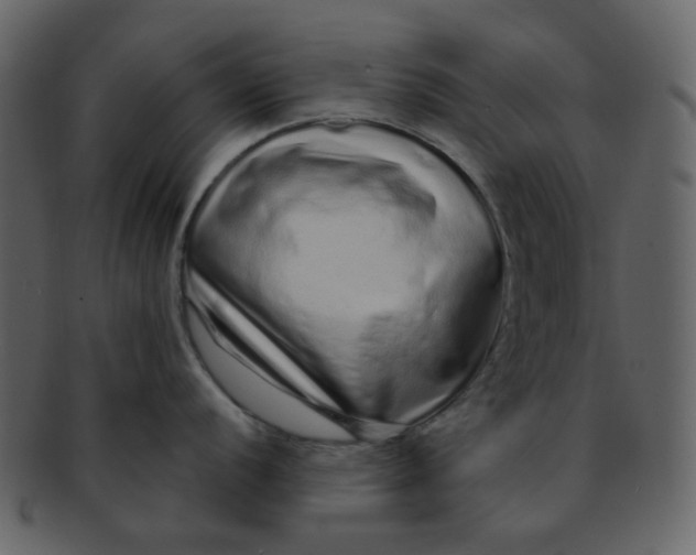 X0000093141056200710171325