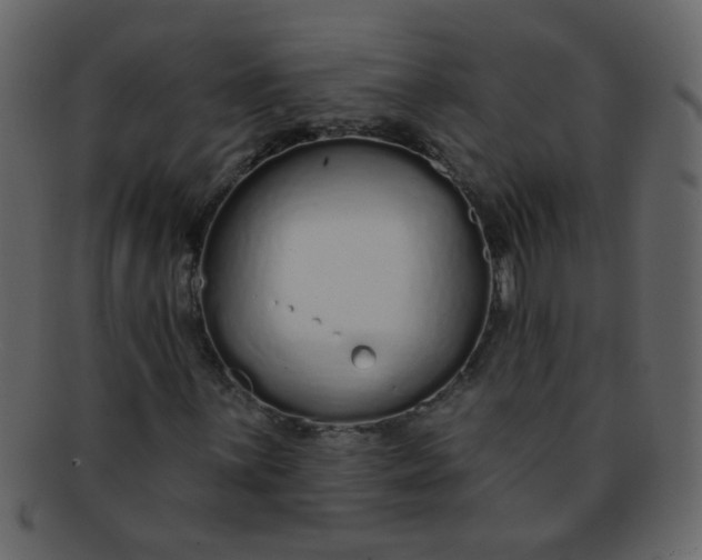 X0000093141059200710171324