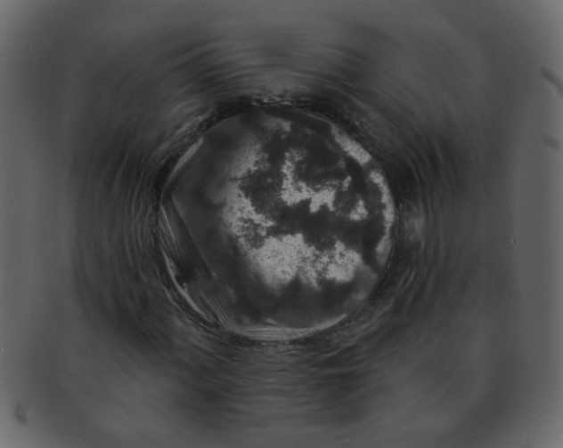 X0000093141060200710171324