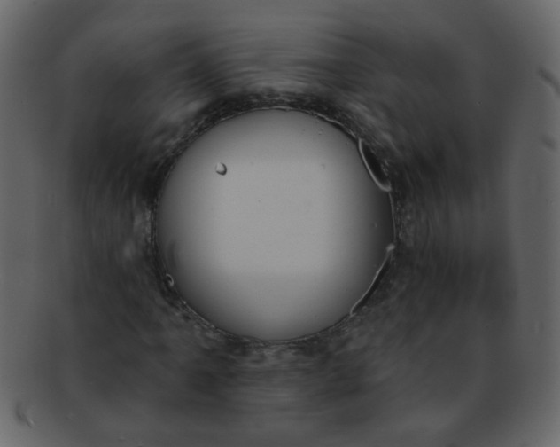 X0000093141061200710171324