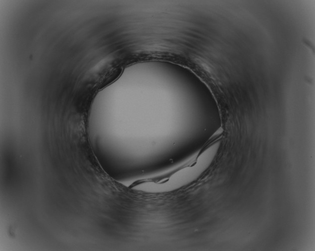 X0000093141062200710171324