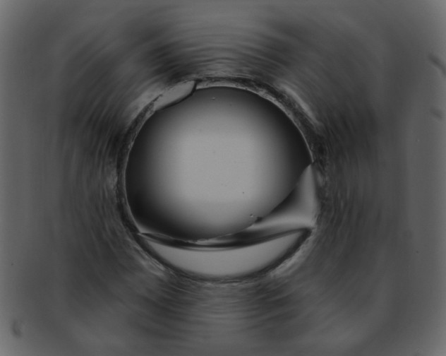 X0000093141065200710171324