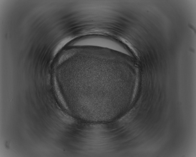 X0000093141066200710171324