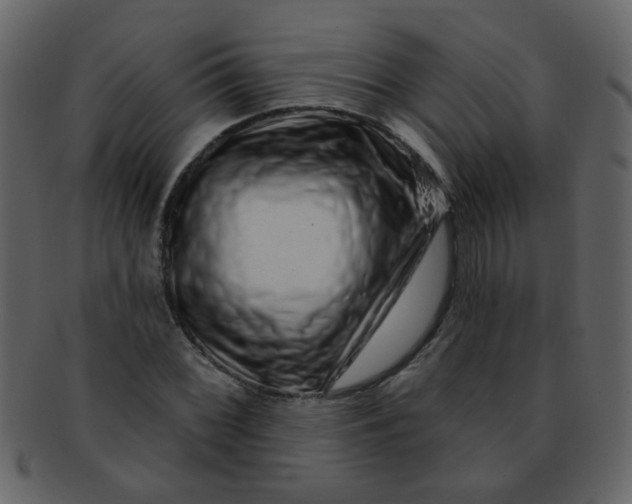 X0000093141068200710171324