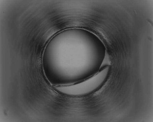 X0000093141073200710171324