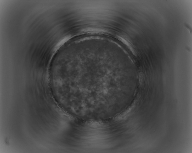 X0000093141074200710171324