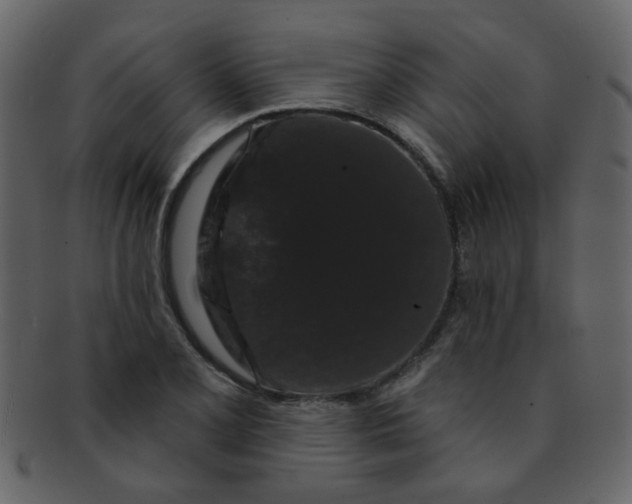 X0000093141077200710171324