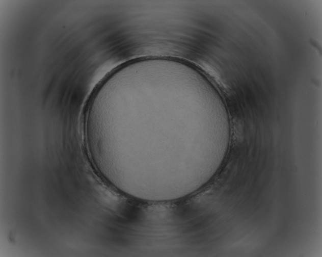 X0000093141078200710171324