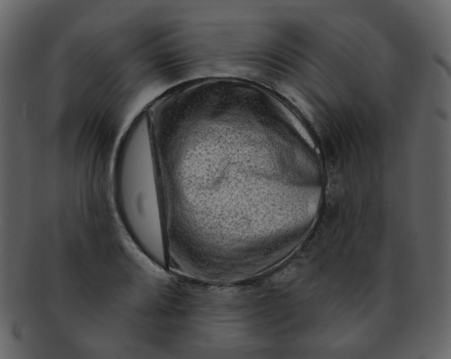 X0000093141080200710171324