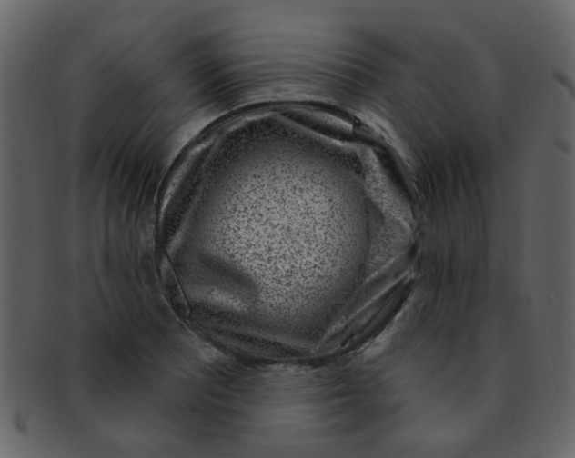 X0000093141081200710171324