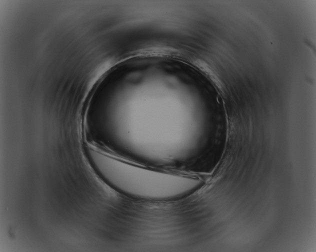 X0000093141083200710171324