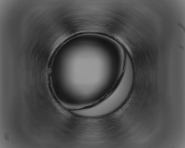 X0000093141085200710171324