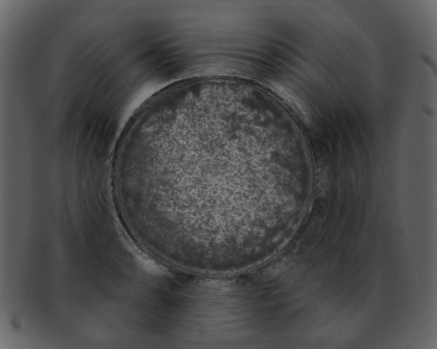 X0000093141086200710171324