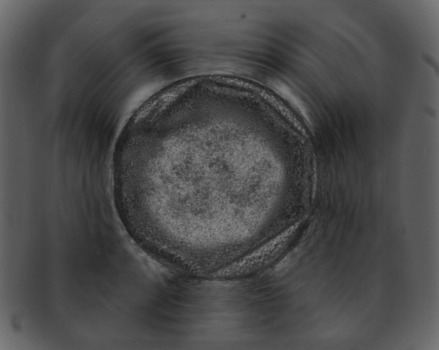 X0000093141088200710171324