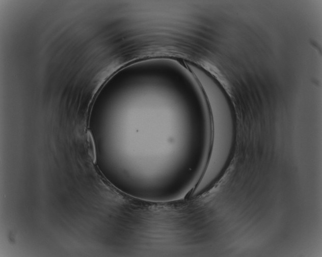 X0000093141089200710171324