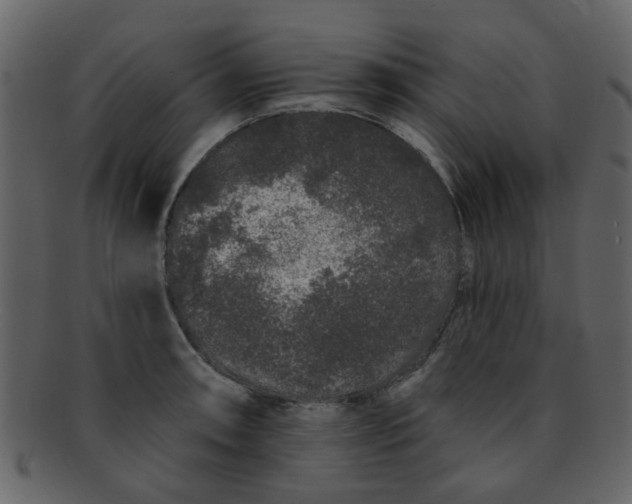 X0000093141090200710171324