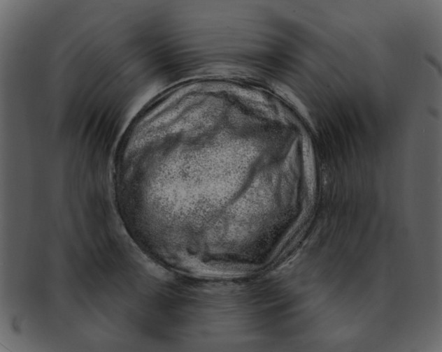 X0000093141091200710171324