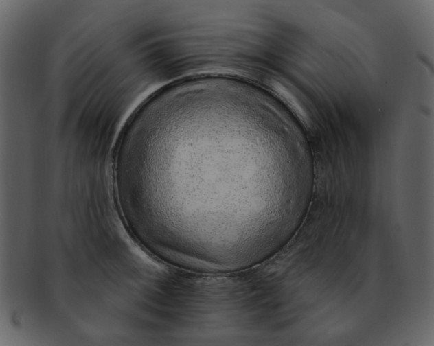 X0000093141092200710171324