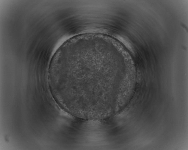 X0000093141094200710171324