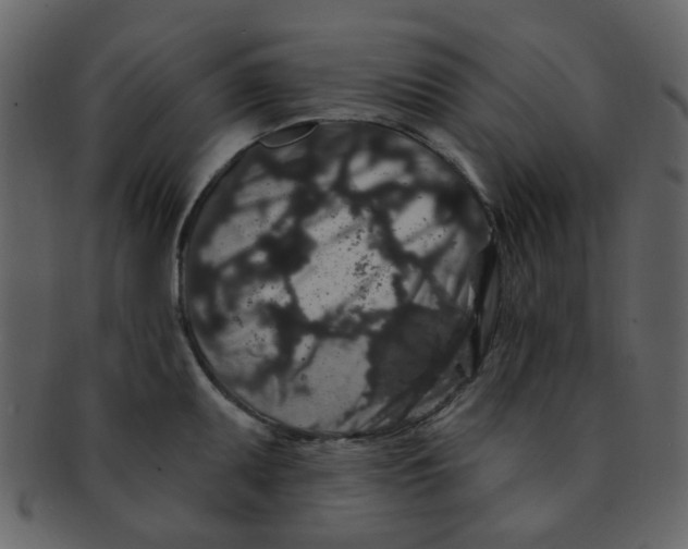 X0000093141095200710171324