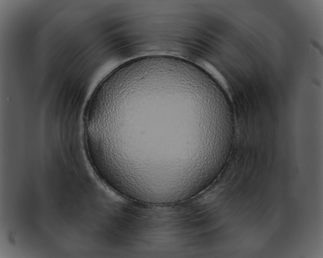 X0000093141096200710171324