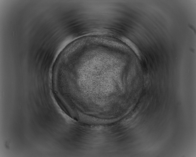 X0000093141099200710171324