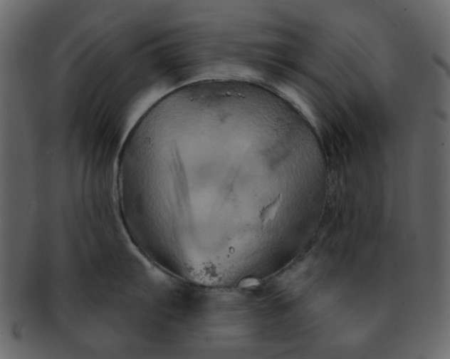 X0000093141103200710171324