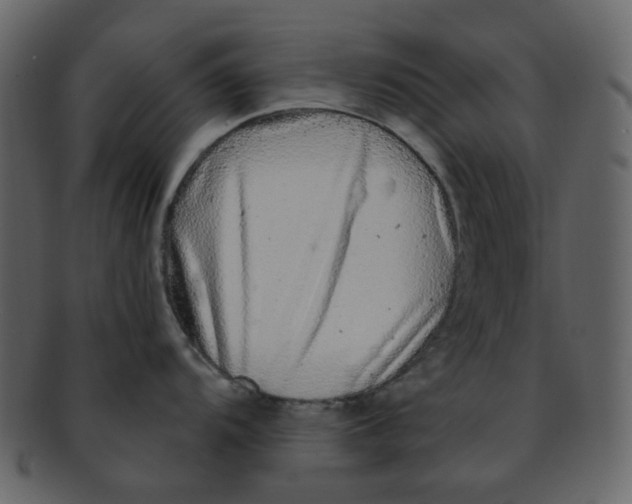 X0000093141104200710171323