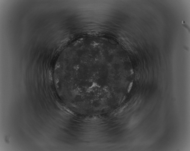 X0000093141106200710171323