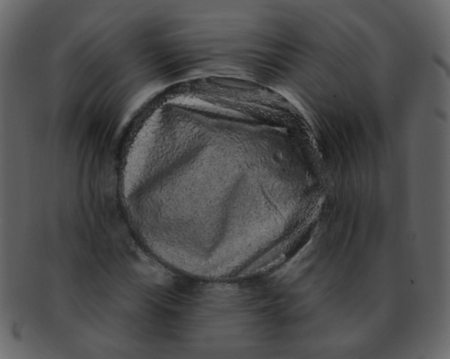 X0000093141115200710171323