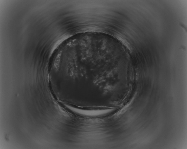 X0000093141117200710171323