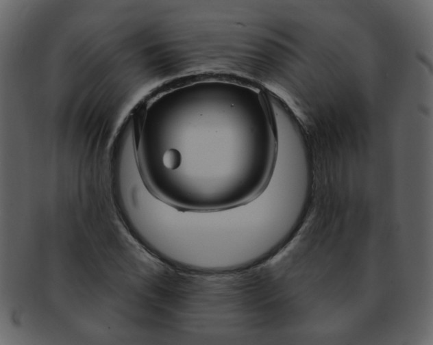 X0000093141118200710171323