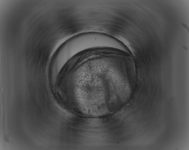 X0000093141120200710171323