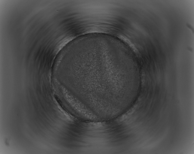 X0000093141121200710171323