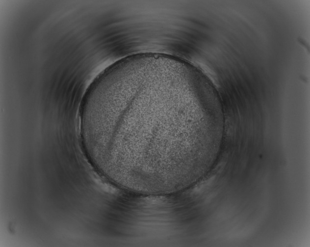 X0000093141125200710171323