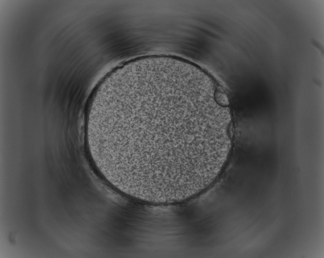 X0000093141126200710171323