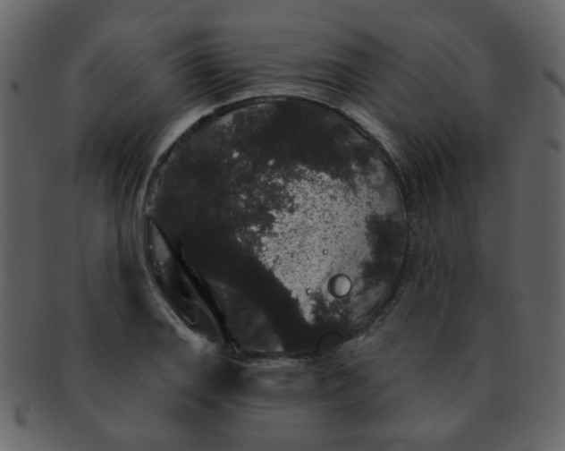 X0000093141127200710171323